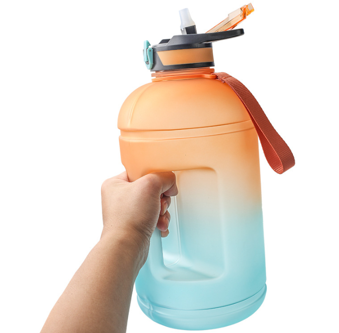 Customized 32oz TRITAN Daily Water Bottle With Straw Suppliers Factory